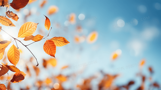 告别选择困难：〈假日总动员〉定制你的专属假期