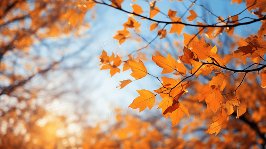 超能动物小队集结！大展猴威宝贝智多星开启合家欢冒险新模式
