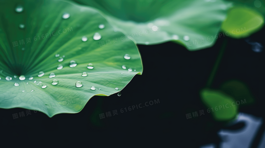 杨家七子反哺情深:短剧负母心免费观看,传统孝道引共鸣