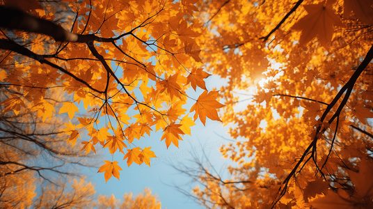 超能泰坦深度解析:人类进化的生存之战与伦理困境